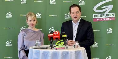 Keine Schonfrist: Gr&uuml;ne nehmen Hanel-Torsch in die Pflicht