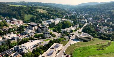 Schweizer Millionen f&uuml;r gewagte Forschung am ISTA