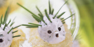 Frischkaese-Igel
