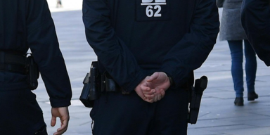 Illegaler Tierhandel w.PNG