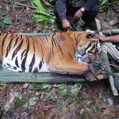 WWF-Experte Georg Scattolin und Ranger im Kui Buri Nationalpark