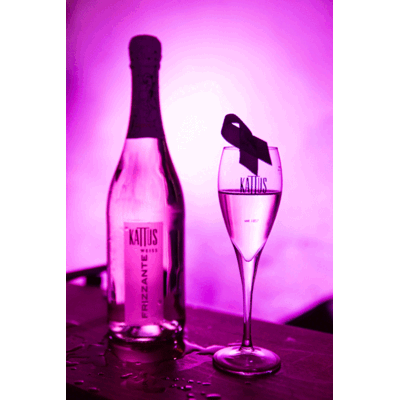 Yury Revich Benefizkonzert 