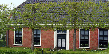 In Form geschnittene B&auml;ume als Blickfang