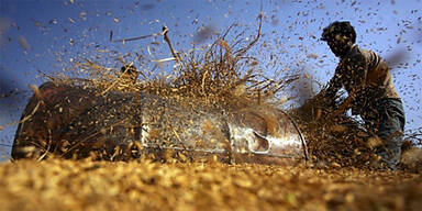 Indien Landwirtschaft