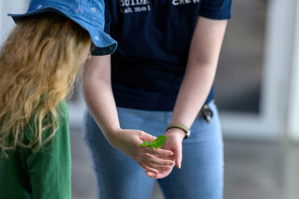 Hautnah erleben, wie es kribbelt und krabbelt - jeden Mittwoch im Haus des Meeres.