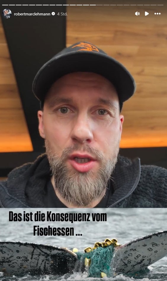 robertmarclehmann insta story