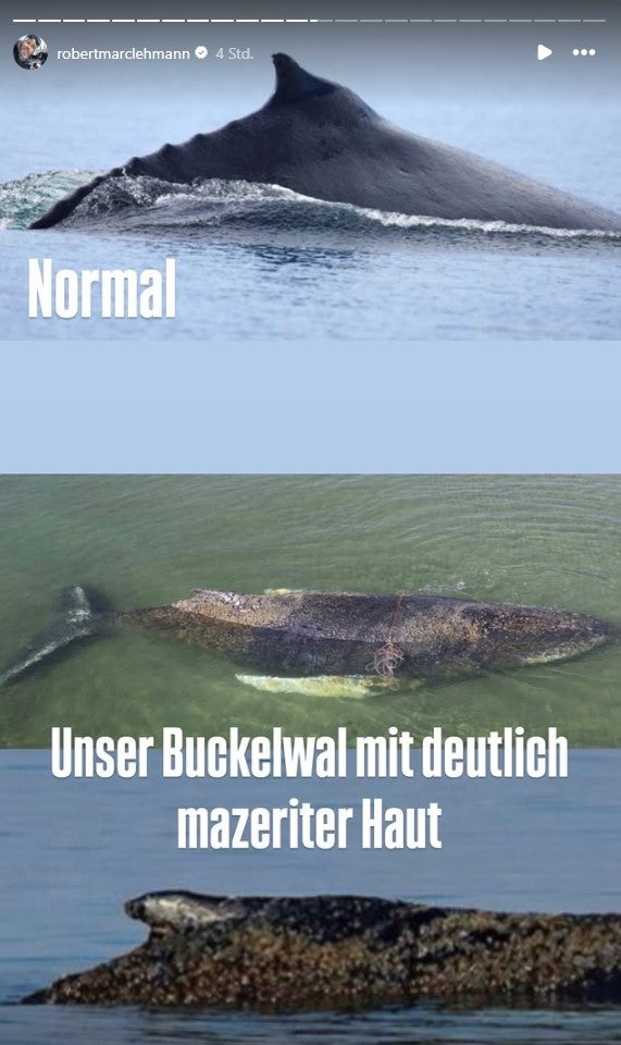 robertmarclehmann insta story