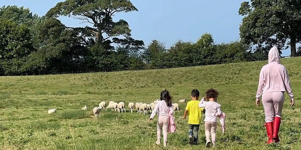 Ob es diese verbrecherische Schafsherde war, die die Familie aus den sanften Träumen riss? 