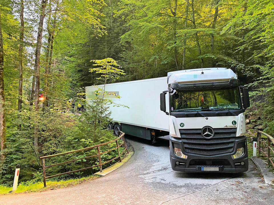 Fisch-Transporter verirrte sich in Wald
