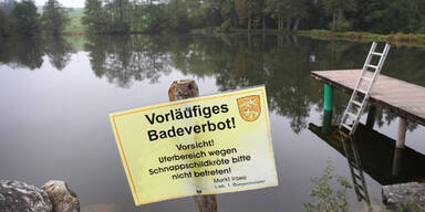 Jagd auf Monster-Schildkröte Lotti geht weiter