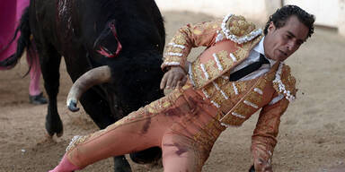 Torero von Stier aufgespießt - tot