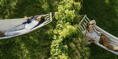 30 Jahre Weinherbst: Vom Geheimtipp zur Top-Attraktion