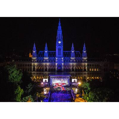 Stars und glamouröse Kostüme am Life Ball