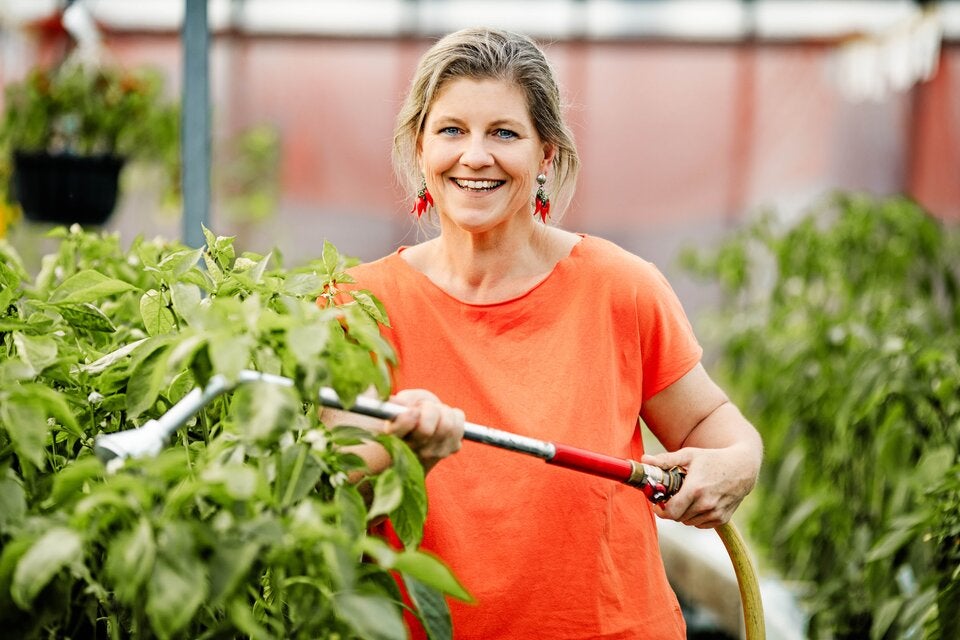 Wie viele Chilis passen in ein Jahrzehnt?