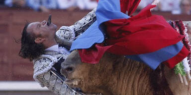 So brutal rächen sich Stiere an ihren Peinigern