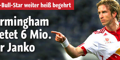 Birmingham bietet für Janko 6 Millionen
