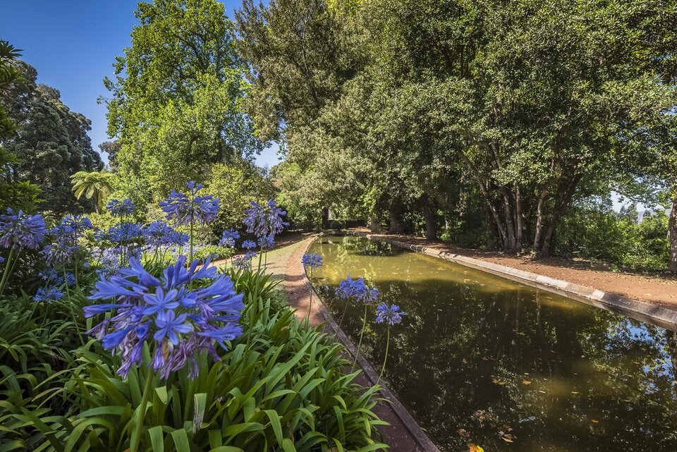 Der Landschaftsgarten findet sich oberhalb von Funchal.