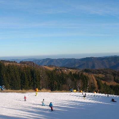 So grün ist derzeit Österreich