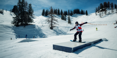 JoKiWo Winteredition