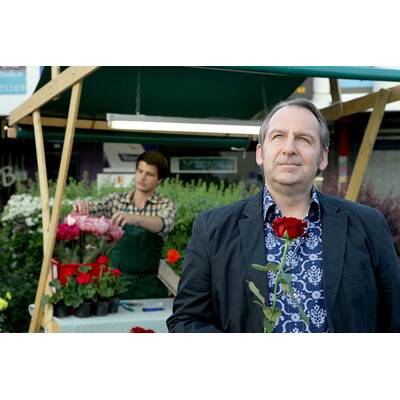 Schnell ermittelt - Wilma Wabe