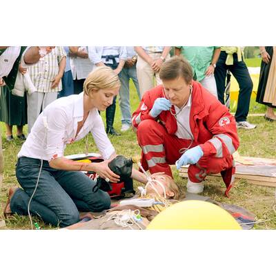 Vier Frauen und ein Todesfall - Totalschaden