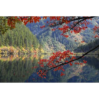 Universum - Unbekanntes Chin (20.3)