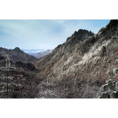 Universum - Unbekanntes Chin (20.3)