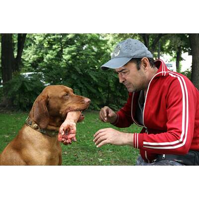 Tatort - Falsch verpackt