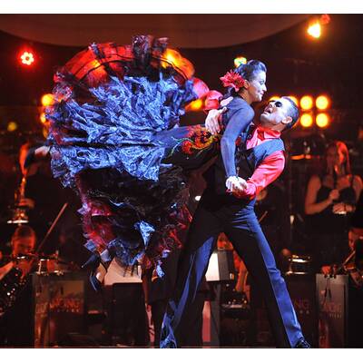 Dancing Stars - 3. Show am 23.3