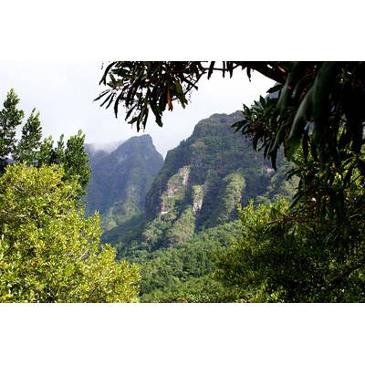 Universum - Täuschen und Tarnen 