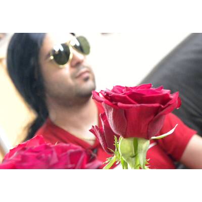 Am Schauplatz - Männer zum Mieten