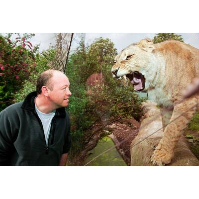 Schönbrunner Tiergeschichten - Leben im Zoo