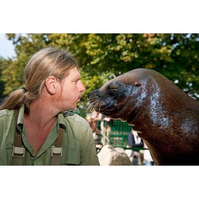 Schönbrunner Tiergeschichten - Leben im Zoo
