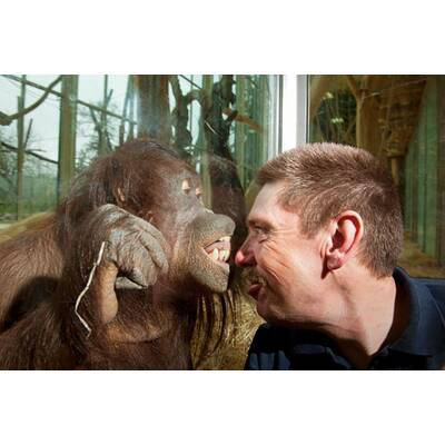 Schönbrunner Tiergeschichten - Leben im Zoo