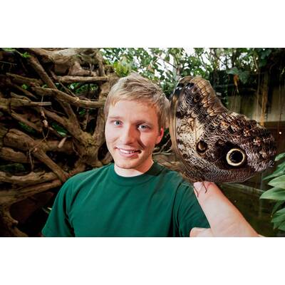 Schönbrunner Tiergeschichten - Leben im Zoo