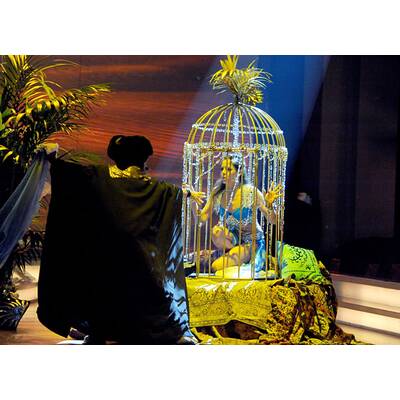 Dancing Stars: Das Finale