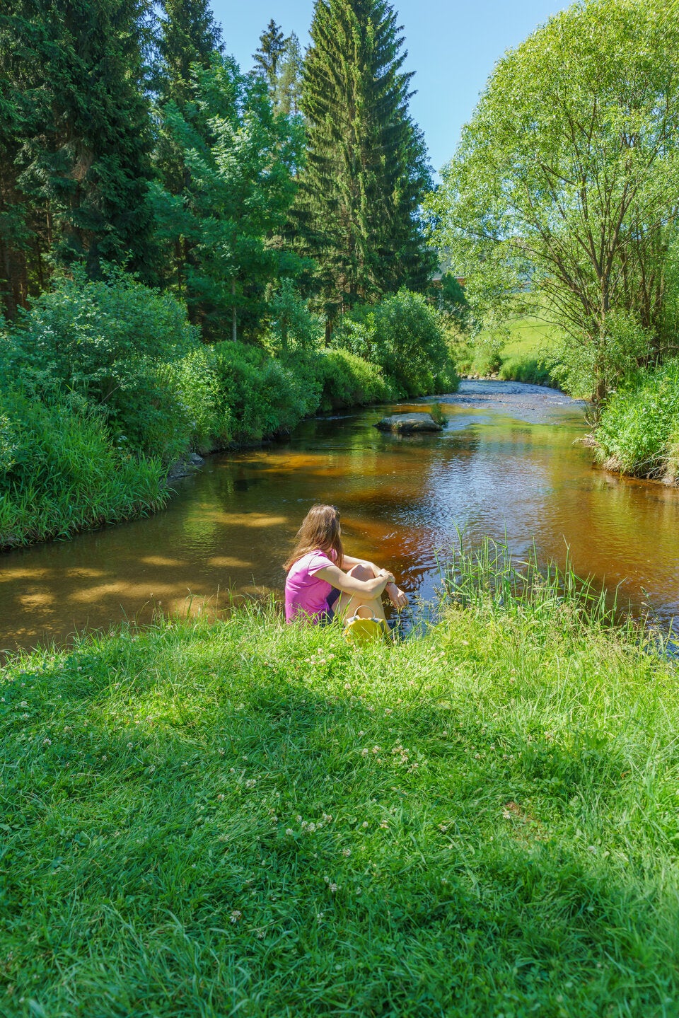 Zwischenstromwiese. Malerische Auen entlang des jakobswegs laden zur Rast an der Aist ein.
