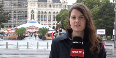 Julia Cirkus Rathaus.PNG