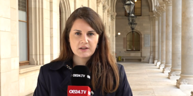 Julia Wien Energie.PNG