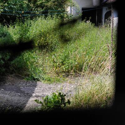 Fall Kührer: Hier wurden die Knochenteile gefunden