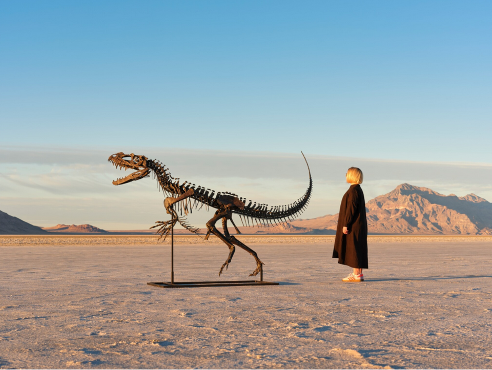 25 Kilogramm Mars: Das größte Stück vom roten Planeten kommt unter den Hammer