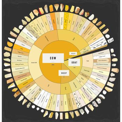 Geniales Schaubild erklärt die Käsewelt