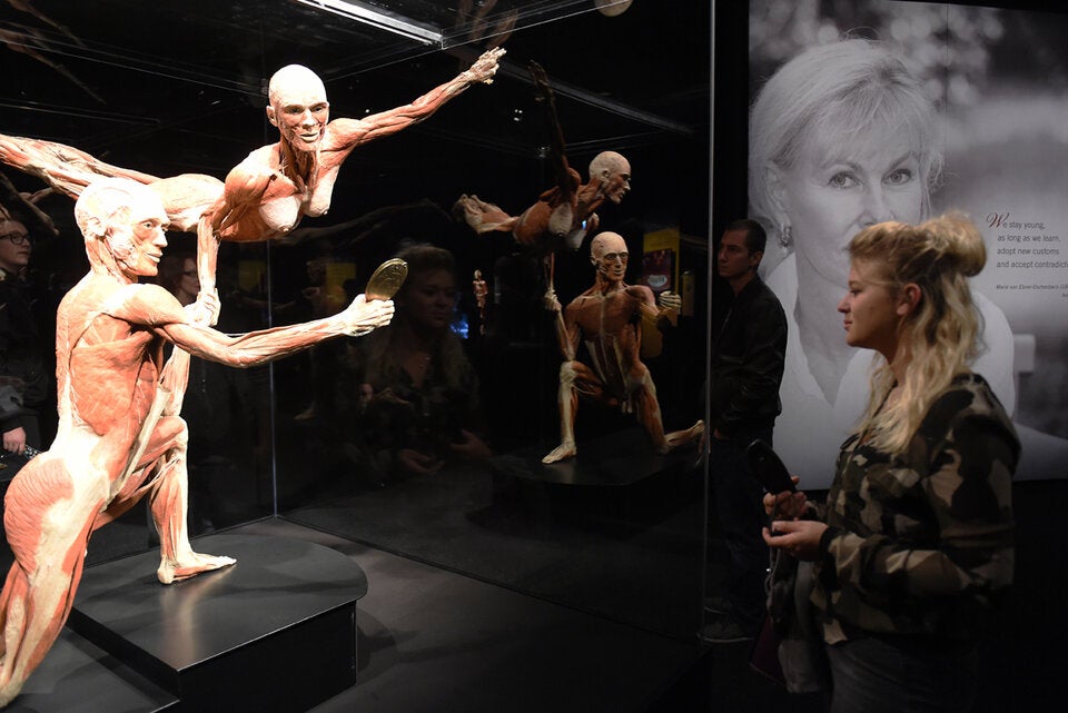 „Körperwelten“ zeigen was uns krank macht