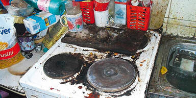 80 Tiere aus Messi-Haus befreit