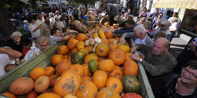 &Ouml;sterreicher kaufen mehr im Land ein