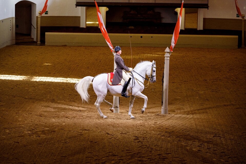 SpanischeHofreitschule