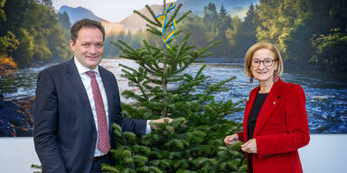 Nieder&ouml;sterreich ist &Ouml;sterreichs Christbaumland