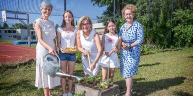 10 Jahre Erd&auml;pfelpyramide: 5.500 Startpakete stehen bereit
