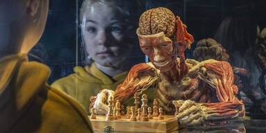 Wiener Stadthalle wird erneut zum Anatomie-Schauplatz