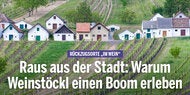 Anzeige ImmoScout 0529 liveandstyle